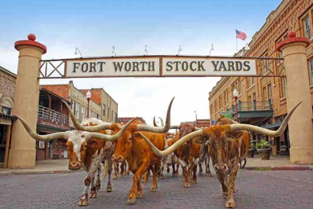 **Min Frm Dwntwn Fort Worth*Modern*Cozy*Townhome** Luaran gambar